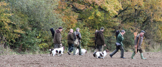 Country Pursuits Country Pursuits