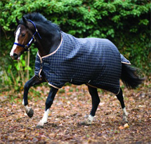 Rugs image