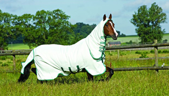 Fly Rugs Fly Rugs