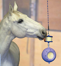 For Your Horse