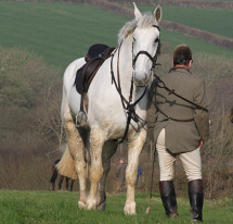 Hunting Attire image