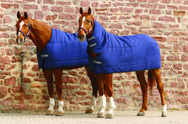 Stable Rugs & Sheets Stable Rugs & Sheets