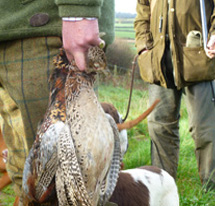 Shooting Accessories image