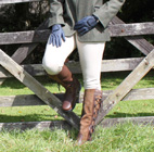Breeches & Jodhpurs Breeches & Jodhpurs