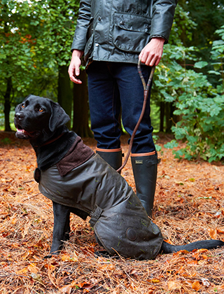 barbour dog raincoat