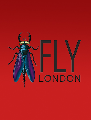 Fly London Fly London