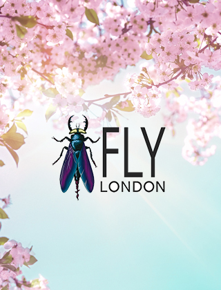 Fly London Fly London