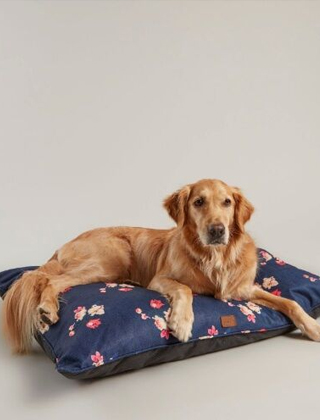 For Pets For Pets