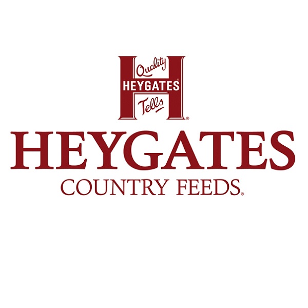 Heygates