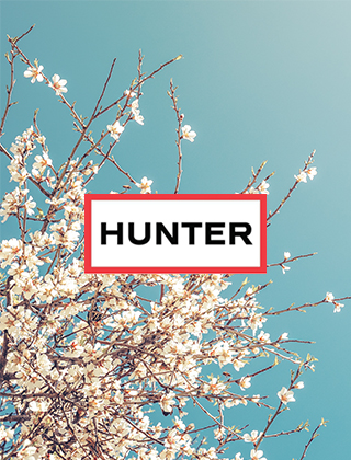 Hunter Hunter