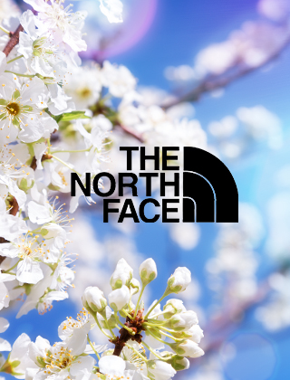 The North Face The North Face