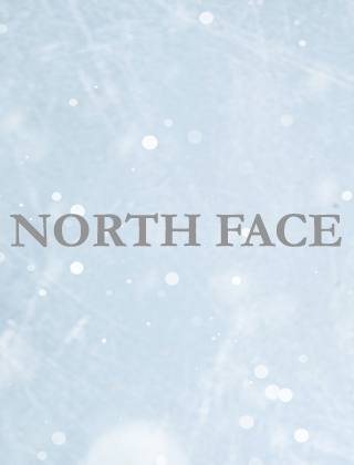 The North Face The North Face