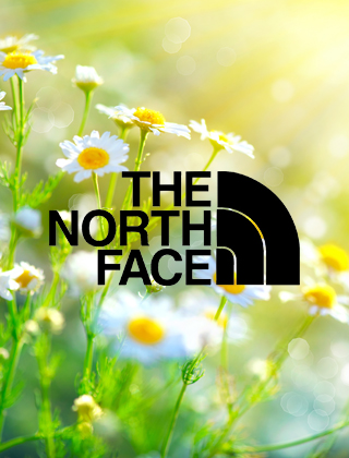 The North Face The North Face
