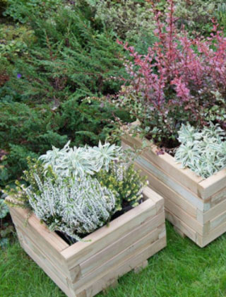 Planters & Greenhouses Planters & Greenhouses