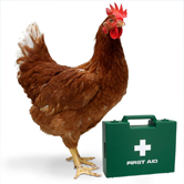 Poultry Health