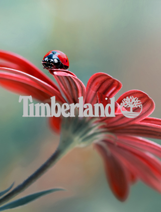 Timberland Timberland