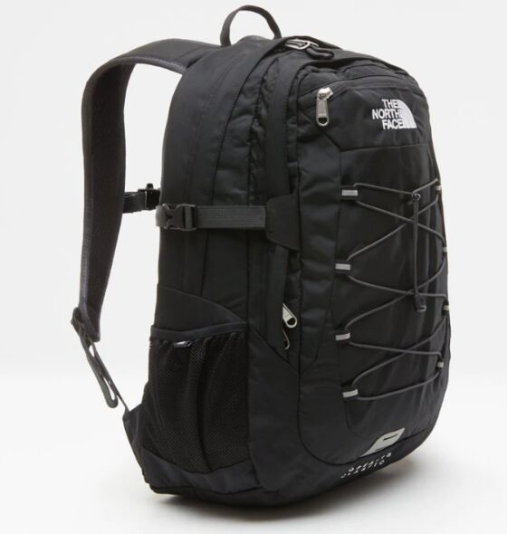 the north face bag borealis