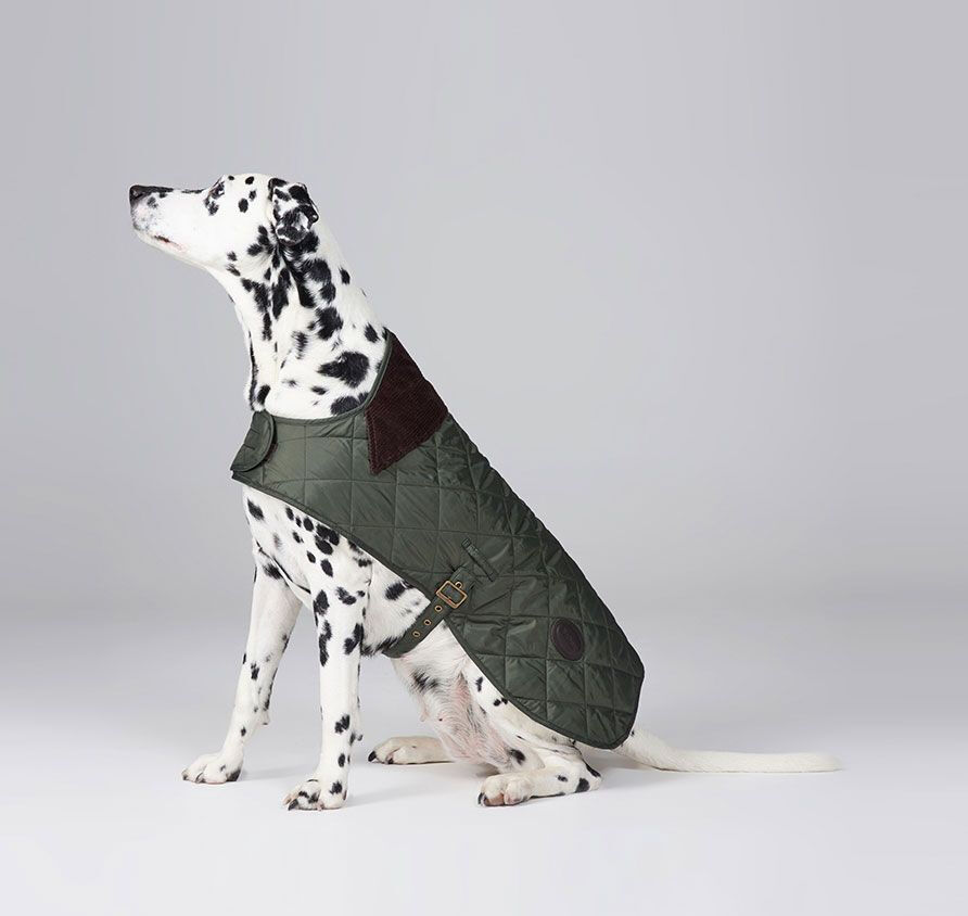 Barbour quilted dog coat olive