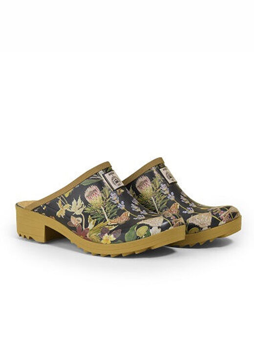 aigle victorine