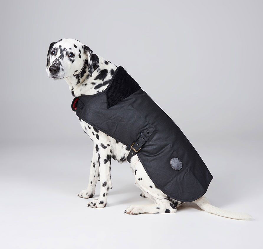 barbour dog wax jacket